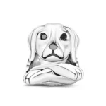 New 925 Sterling Silver "Friend Dog Mom Woof" Pet Charm - DIY Dangle Beads | Fits Original Pandora Bracelet | Fashionable Women's Jewelry