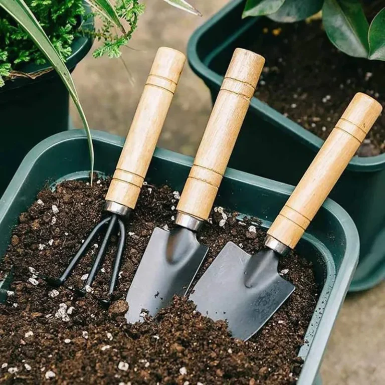 3-Piece Gardening Tool Set - Rake, Shovel, and Small Trowel for Planting Vegetables, Flowers, and Succulents