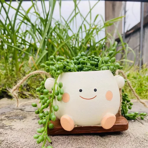Rocking Planter Chair for Succulents | Creative Rocking Succulent Pot for Home and Garden