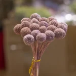 Boho Dried Flower Bouquet – Billy Balls for Vase, Home Decor, Wedding Garlands, & Bouquets