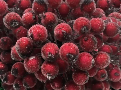 40/20Pcs Artificial Holly Berries Mini Cherry Stamen Berry Frosted Double Head Fake Berries For Christmas