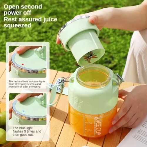 Portable Electric Fruit Juicer – Powerful 800ml USB Rechargeable 10-Blade Bottle