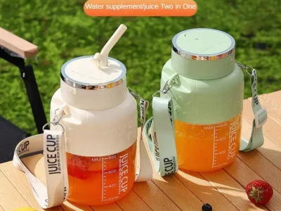 Portable Electric Fruit Juicer – Powerful 800ml USB Rechargeable 10-Blade Bottle